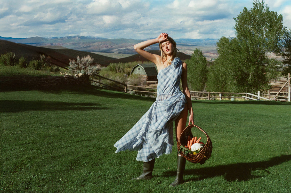Bluebird Plaid Midi Dress Blue - For Love & Lemons