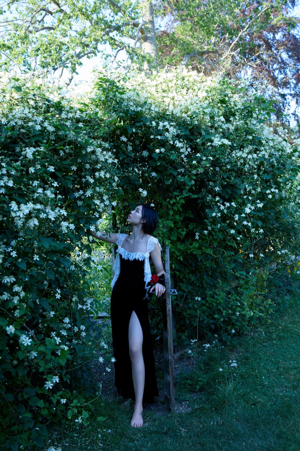 La Vie En Bow Velvet Maxi Dress Black - For Love & Lemons